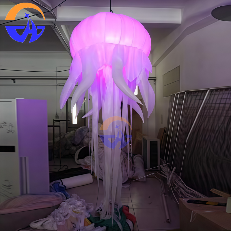 Giant LED Glowing Inflatable J - Outdoor Lighting Jellyfish avis et prix