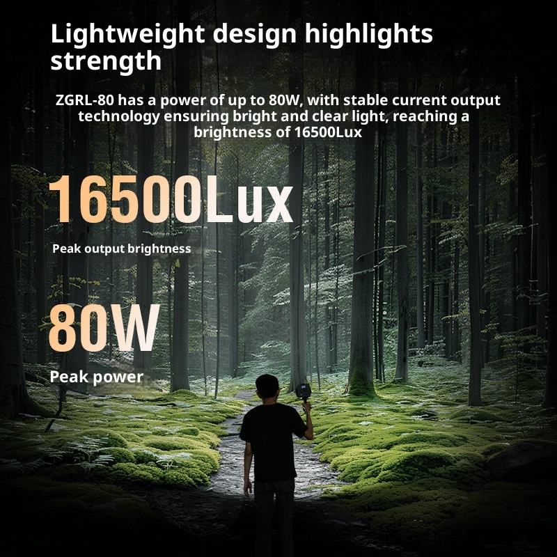 ZGRL80 80W COB LED Video Light - Outdoor Lighting For Photography avis et prix